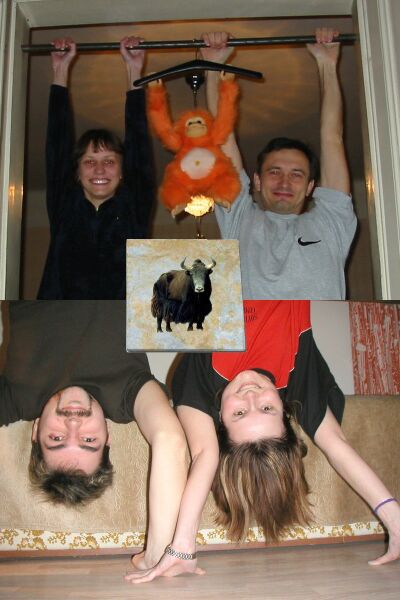 Foto týmu Jak divoký kachličky Foto týmu Jak divoký kachličky