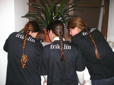 Foto týmu frikulín Foto týmu frikulín