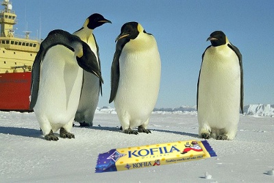 Foto týmu Kofila Foto týmu Kofila