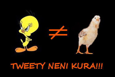 Foto tmu Tweety neni kura!!!