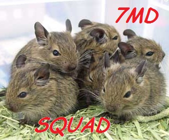 Foto tmu 7MD squad