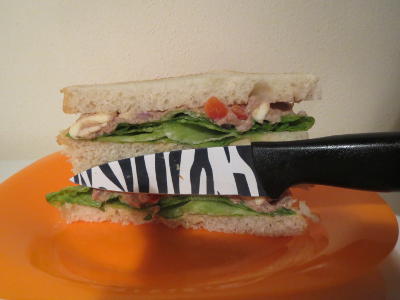 Foto týmu Zebra řez Foto týmu Zebra řez