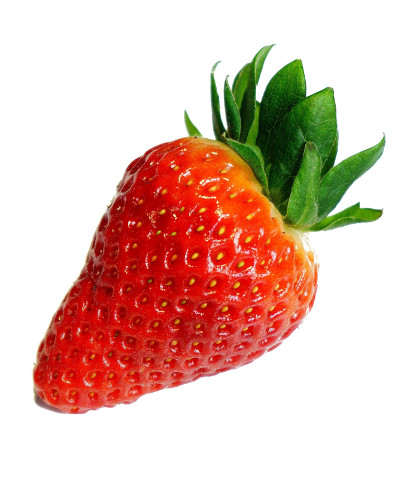 Foto týmu Rozsadená Jahoda Foto týmu Rozsadená Jahoda