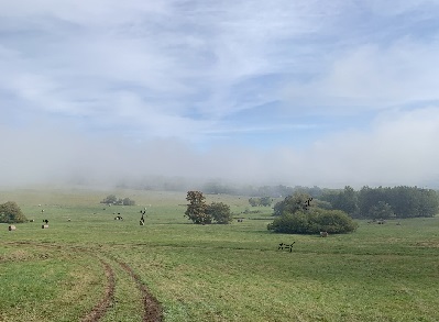 Foto týmu MLHA Foto týmu MLHA